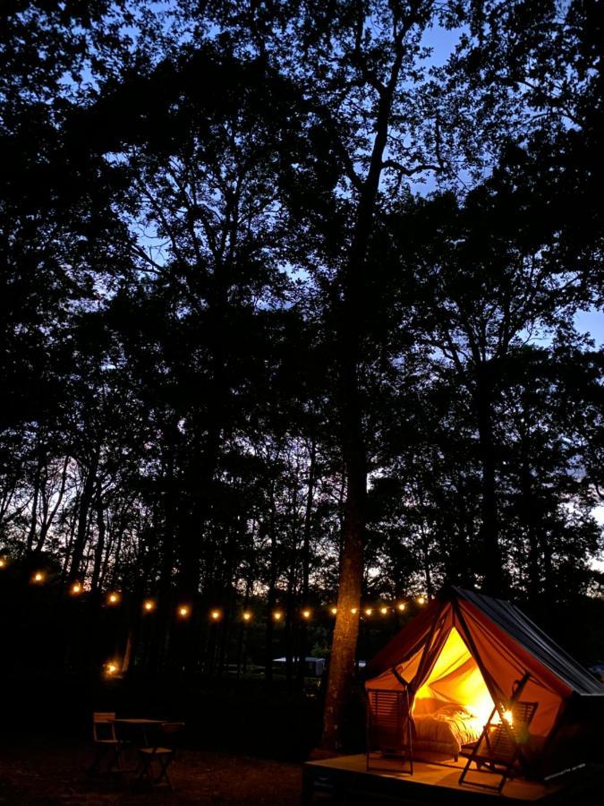Camping De La Foret Seasonova Sillé-le-Guillaume Dış mekan fotoğraf