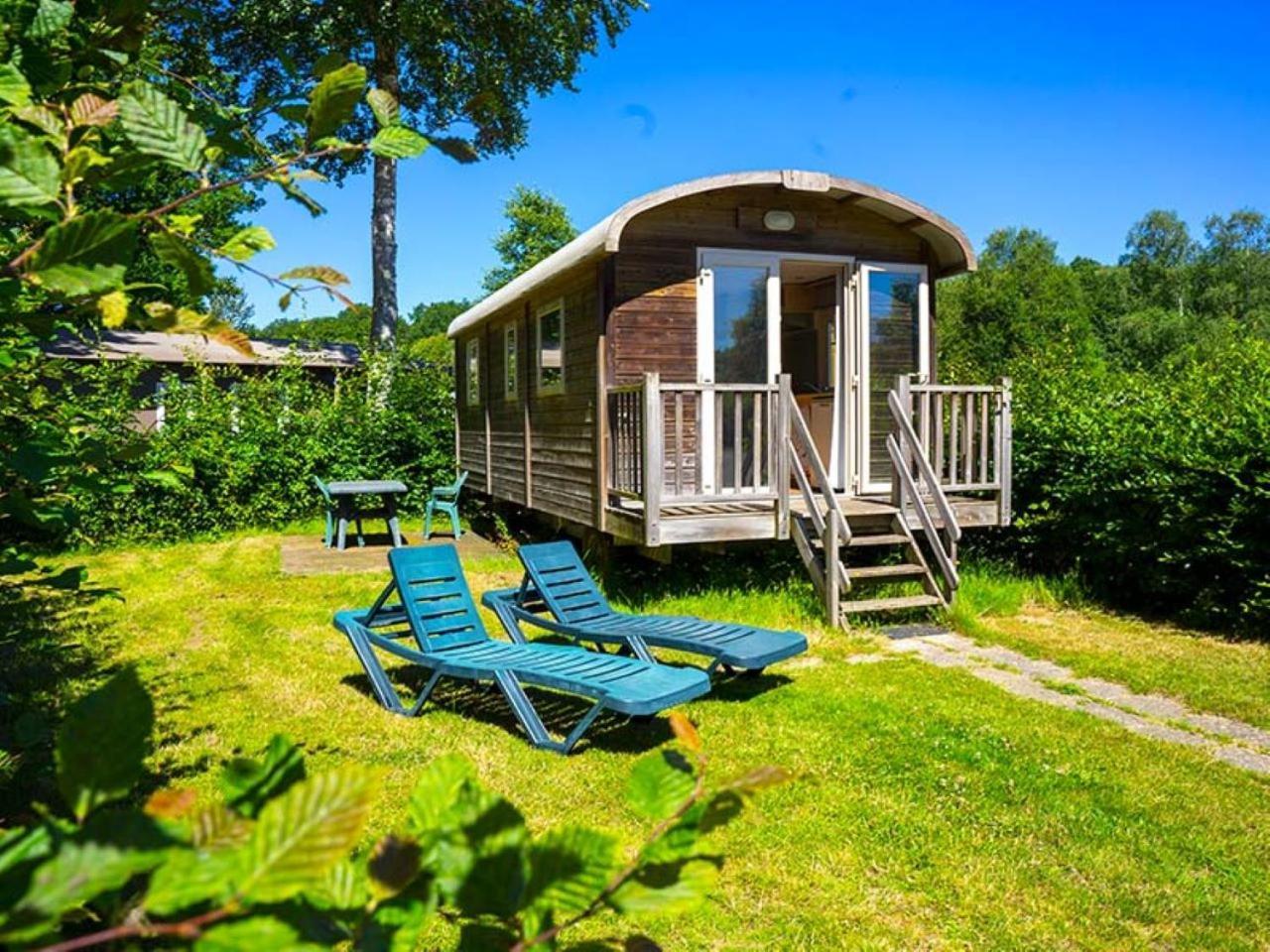 Camping De La Foret Seasonova Sillé-le-Guillaume Dış mekan fotoğraf
